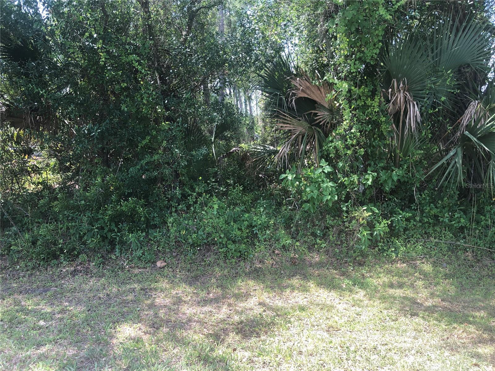 CHARLAND AVE Property Photo 1