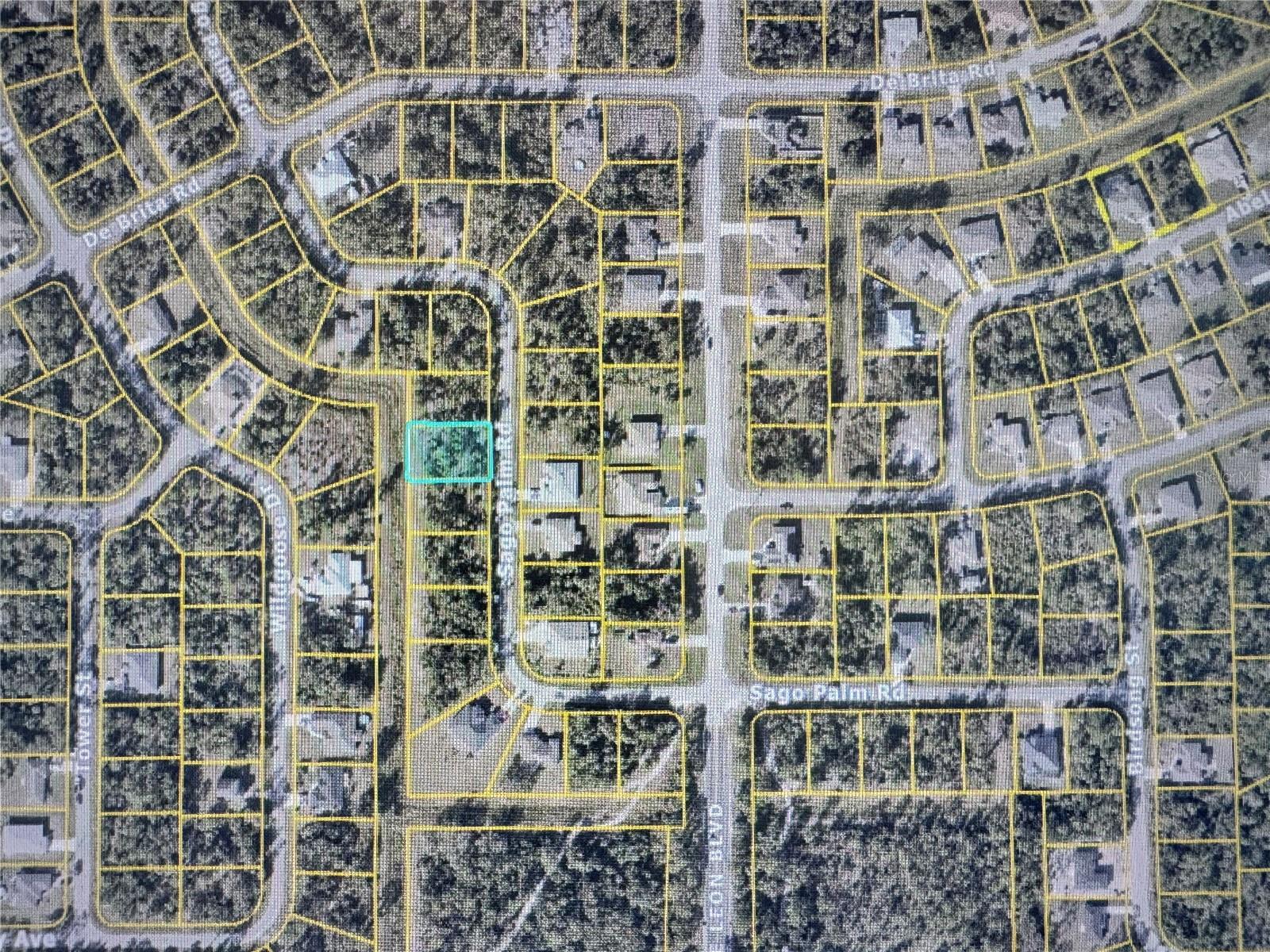 SAGO PALM RD Property Photo 1