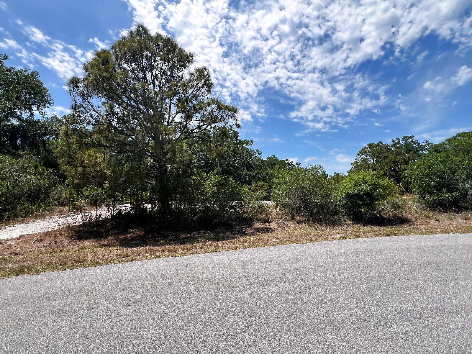 HAMER TER #Lot 25 Property Photo 1