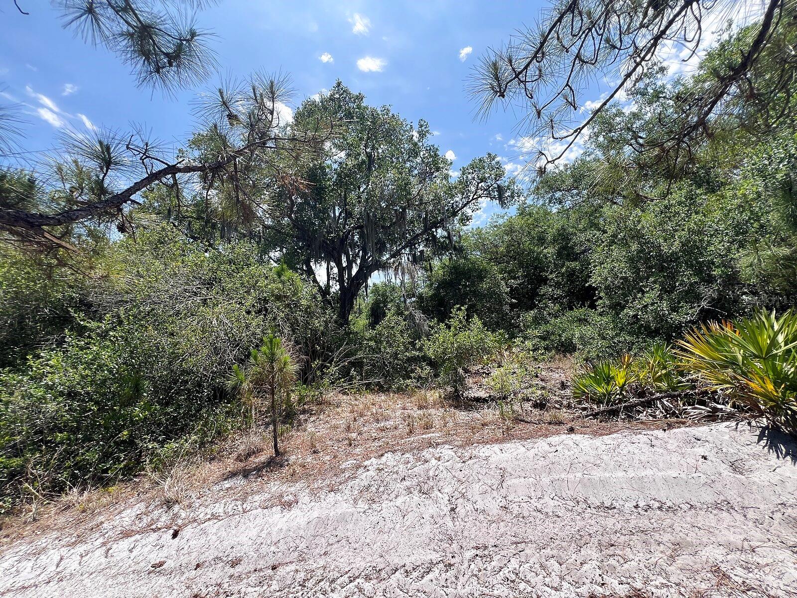Hamer Ter #lot 25 Property Photo 6