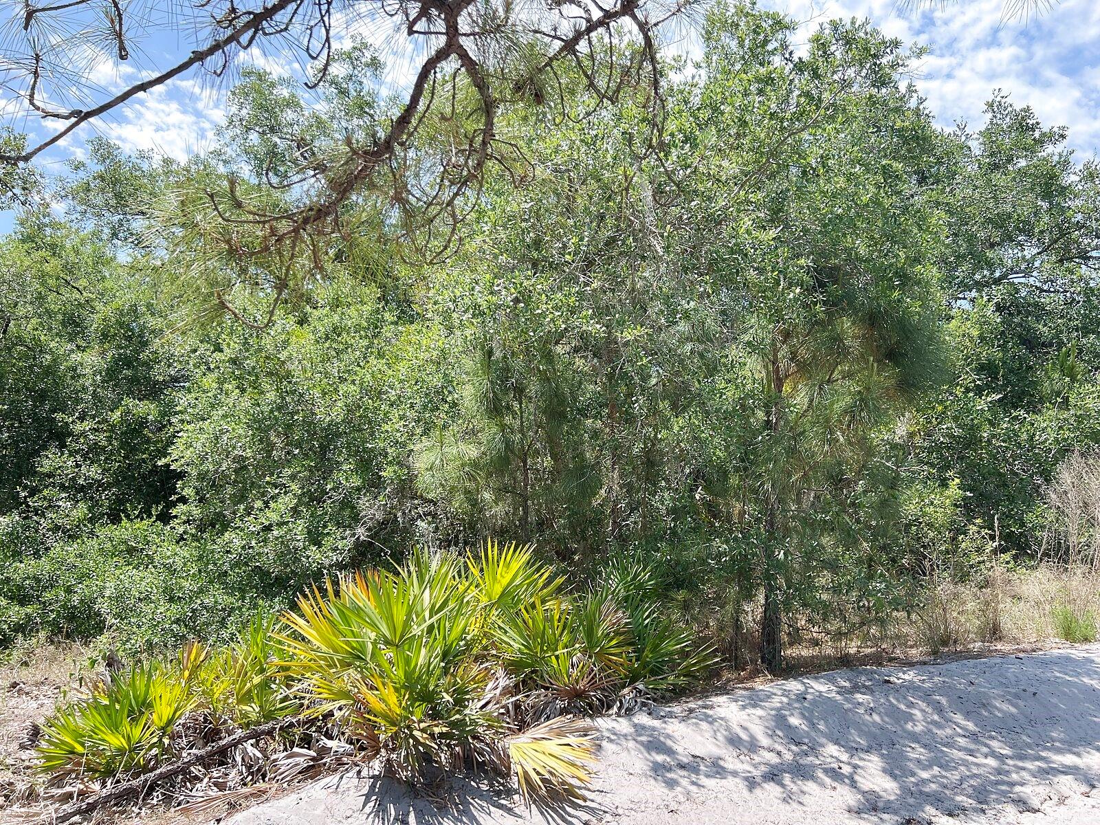 Hamer Ter #lot 25 Property Photo 7