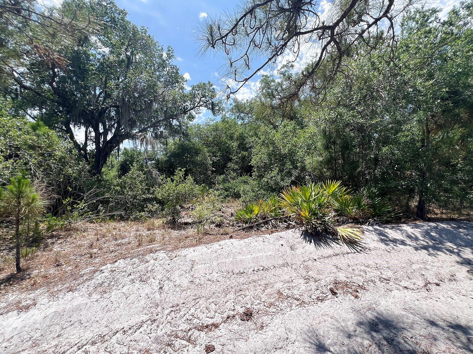 Hamer Ter #lot 25 Property Photo 8