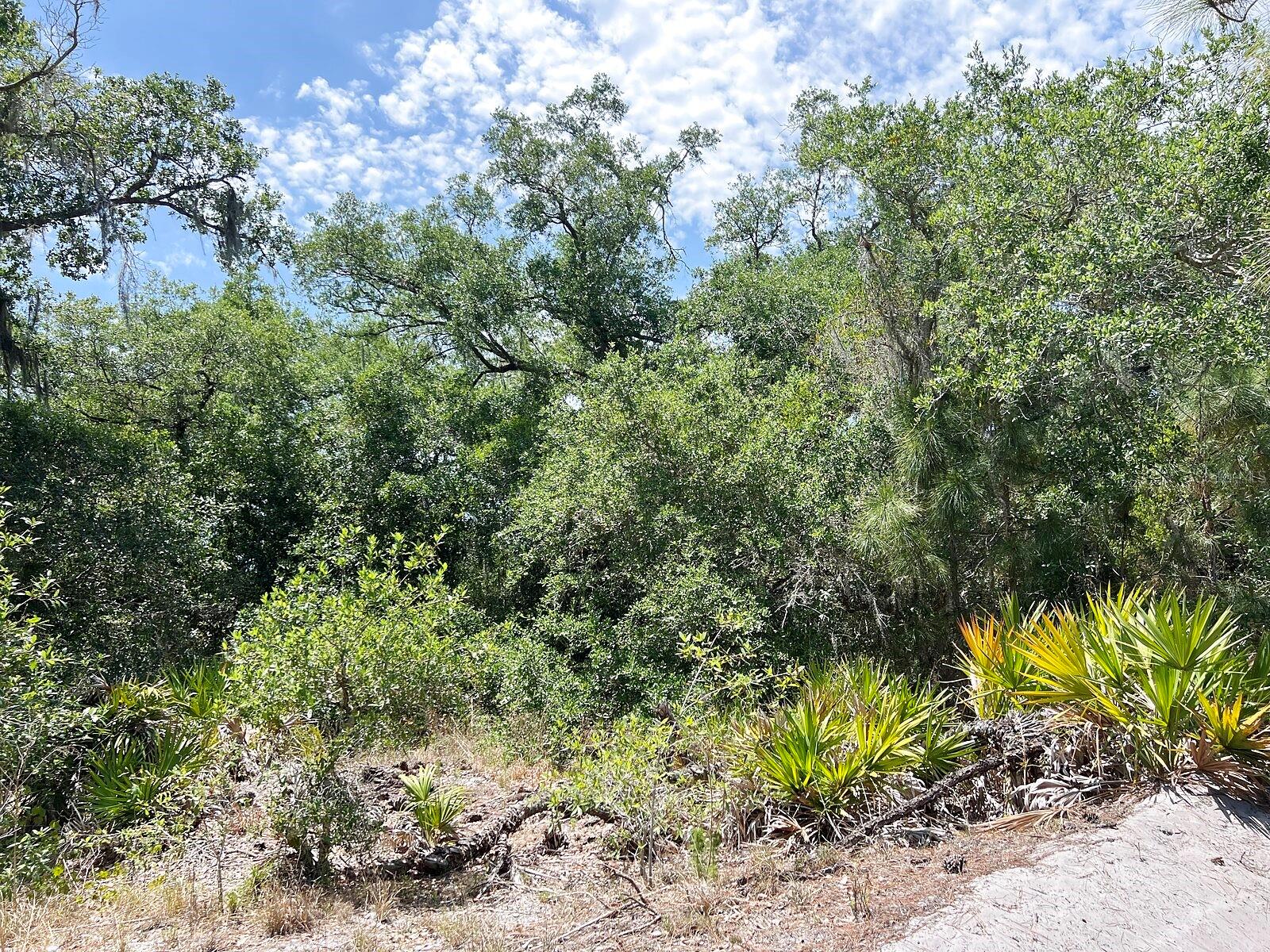 Hamer Ter #lot 25 Property Photo 9