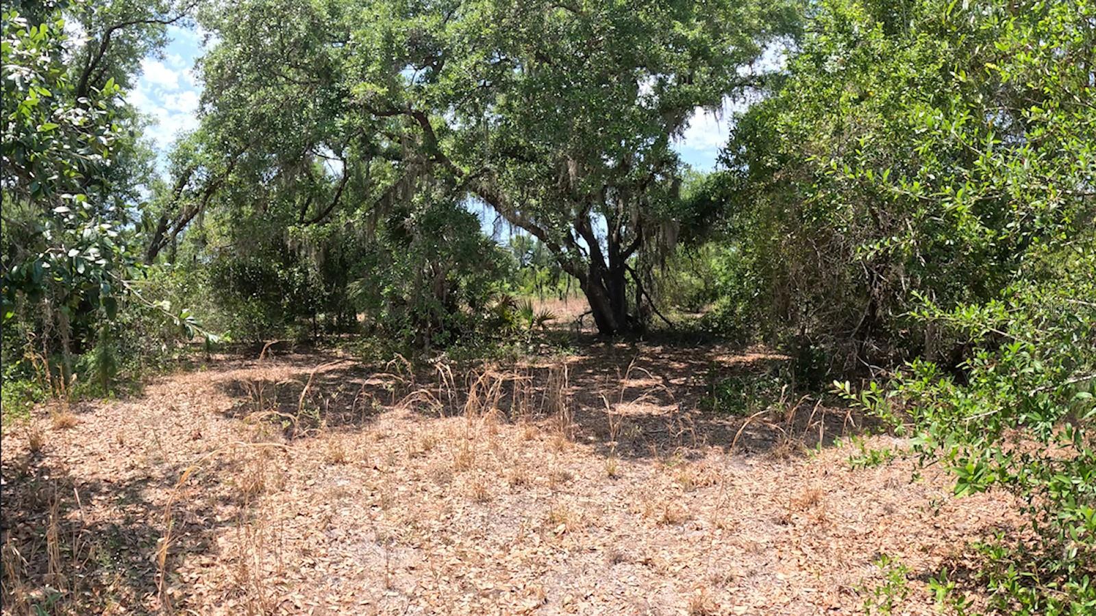 Hamer Ter #lot 25 Property Photo 1