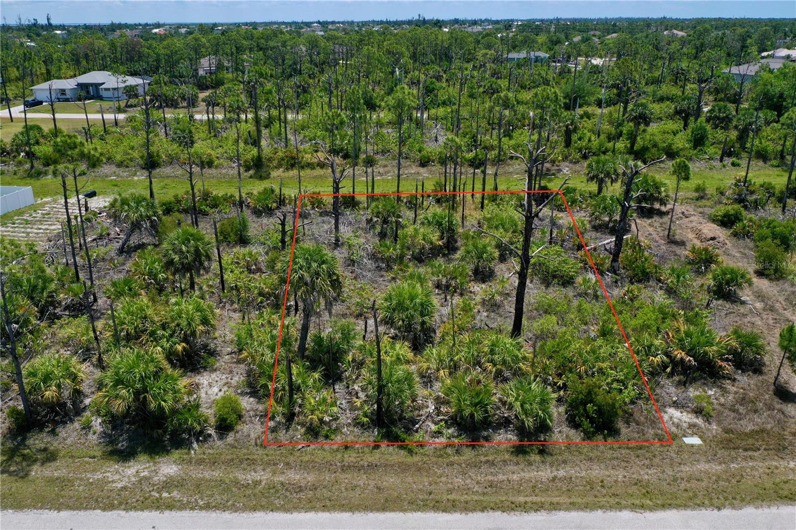 8228 LEAFY WAY Property Photo 1