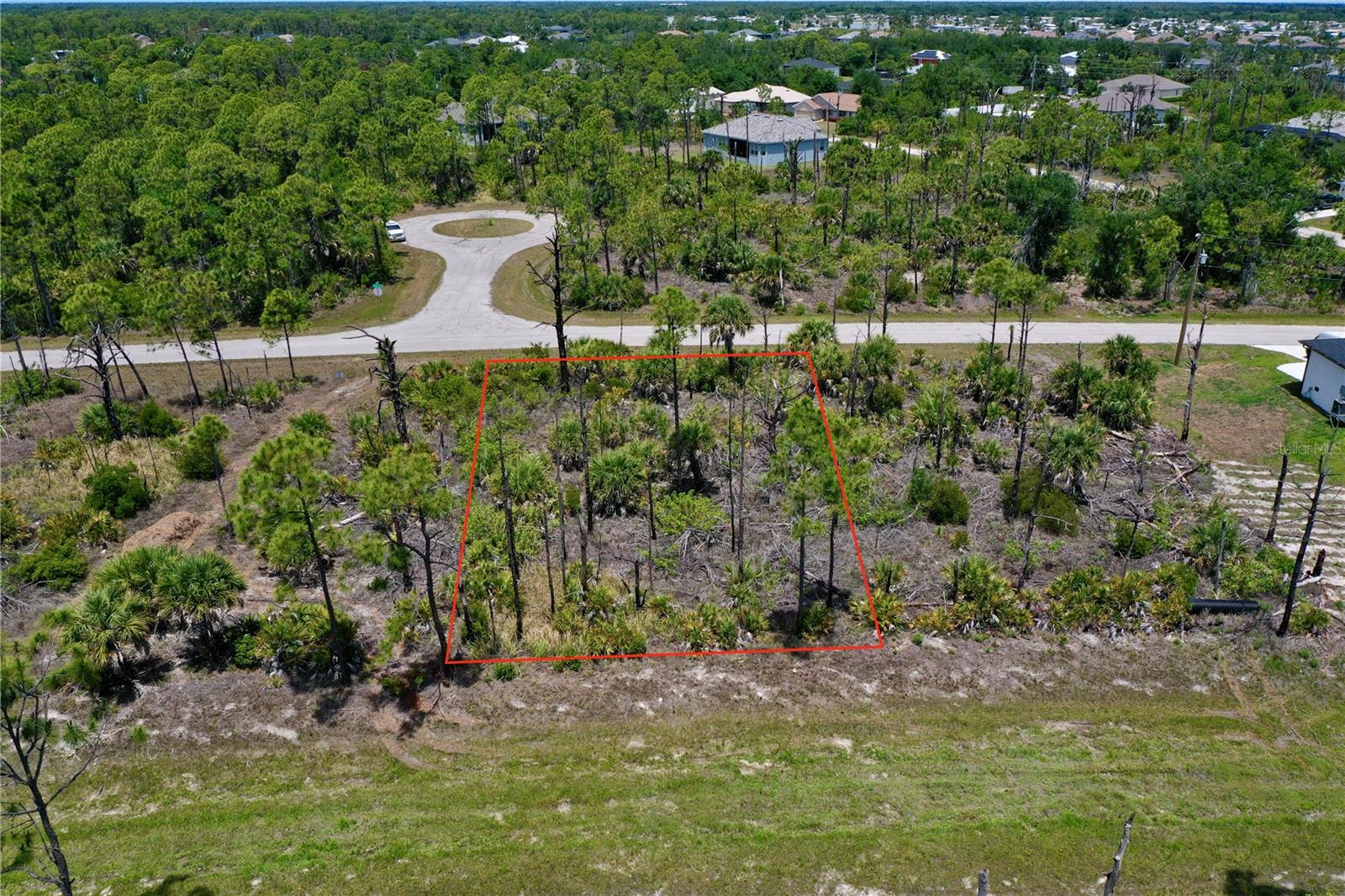 8228 Leafy Way Property Photo 2