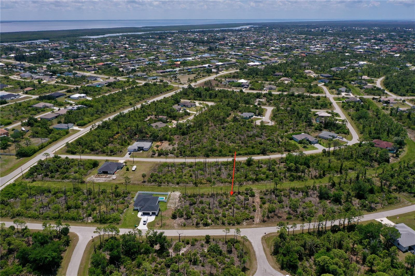 8228 Leafy Way Property Photo 4