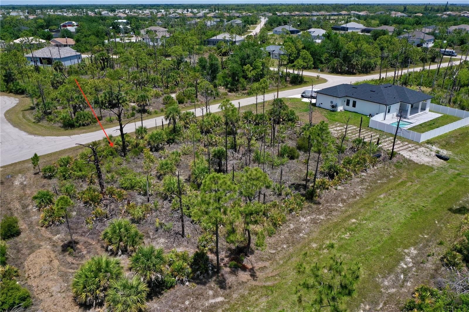 8228 Leafy Way Property Photo 9