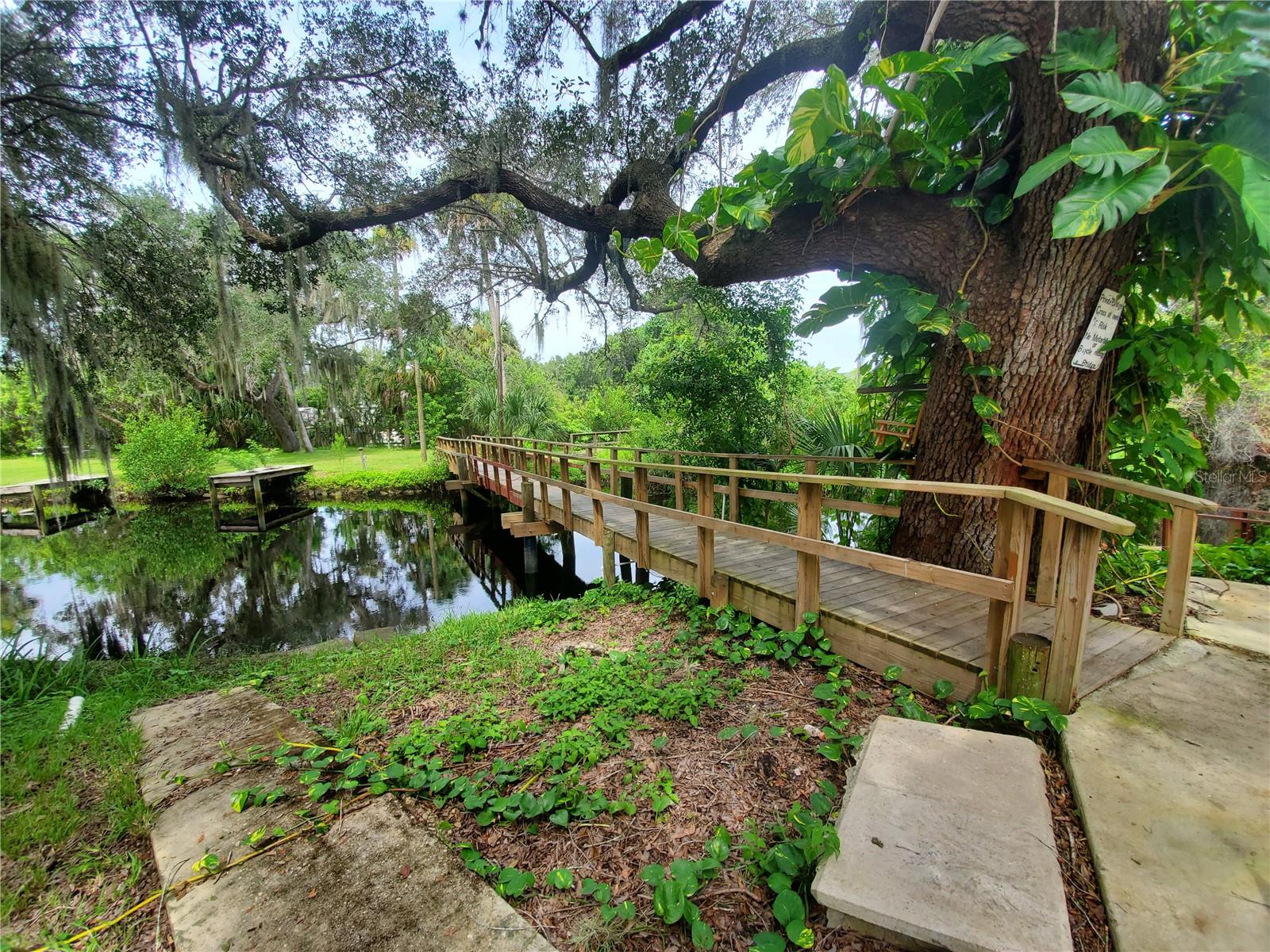29208 Snook Cir Property Photo 4