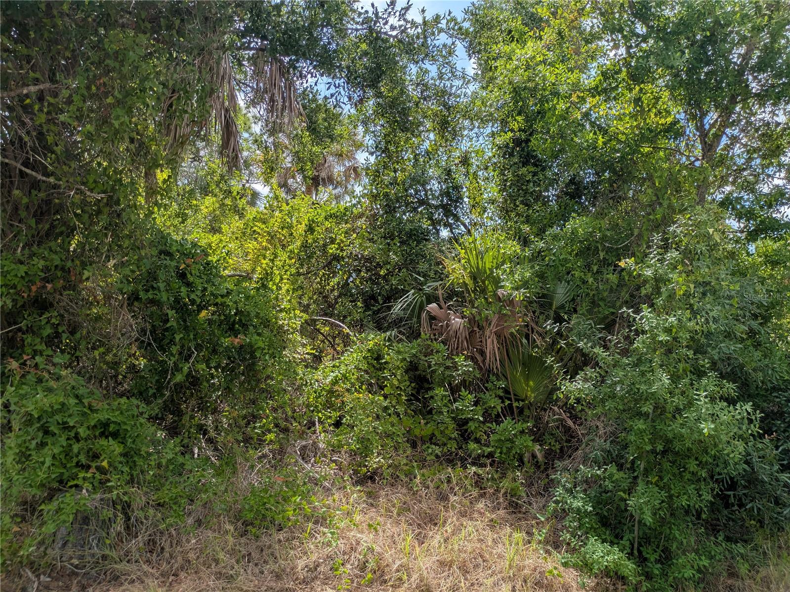 7396 Widmer St Property Photo 6