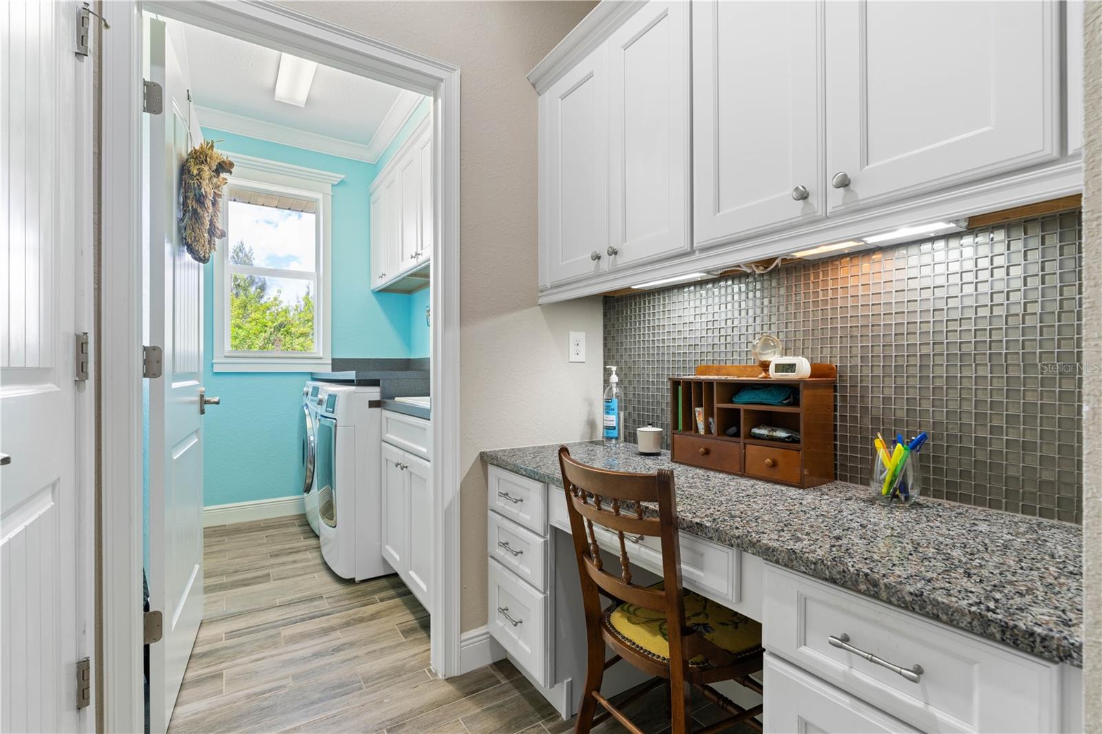 15156 Leipzig Cir Property Photo 35