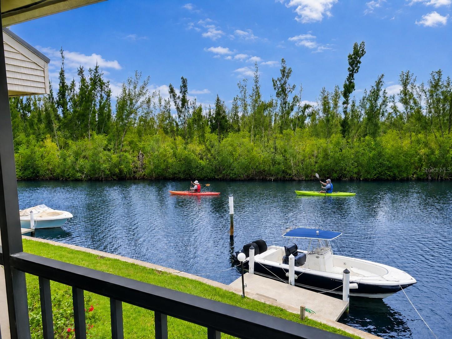 3256 WHITE IBIS CT #325