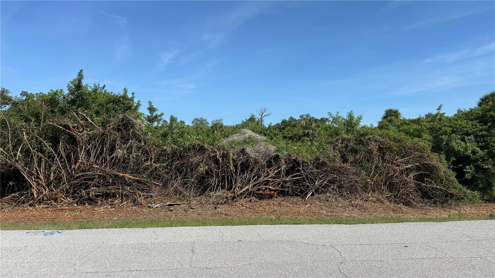 7432 Memorial Dr Property Photo 5
