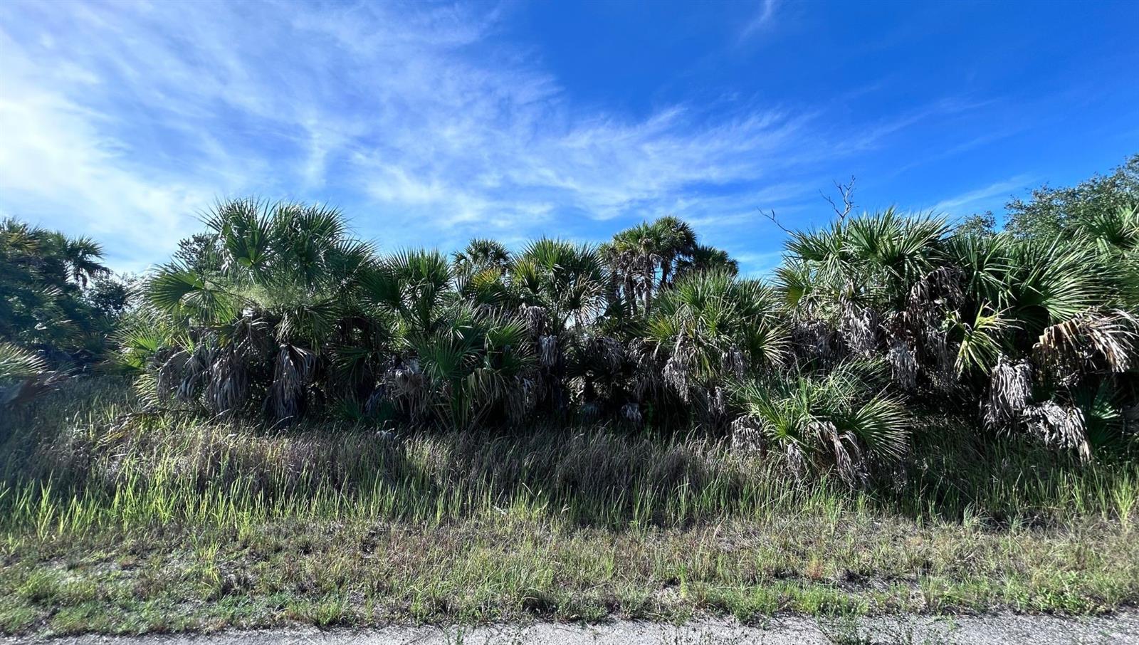 Crimsonglory Rd Property Photo 1