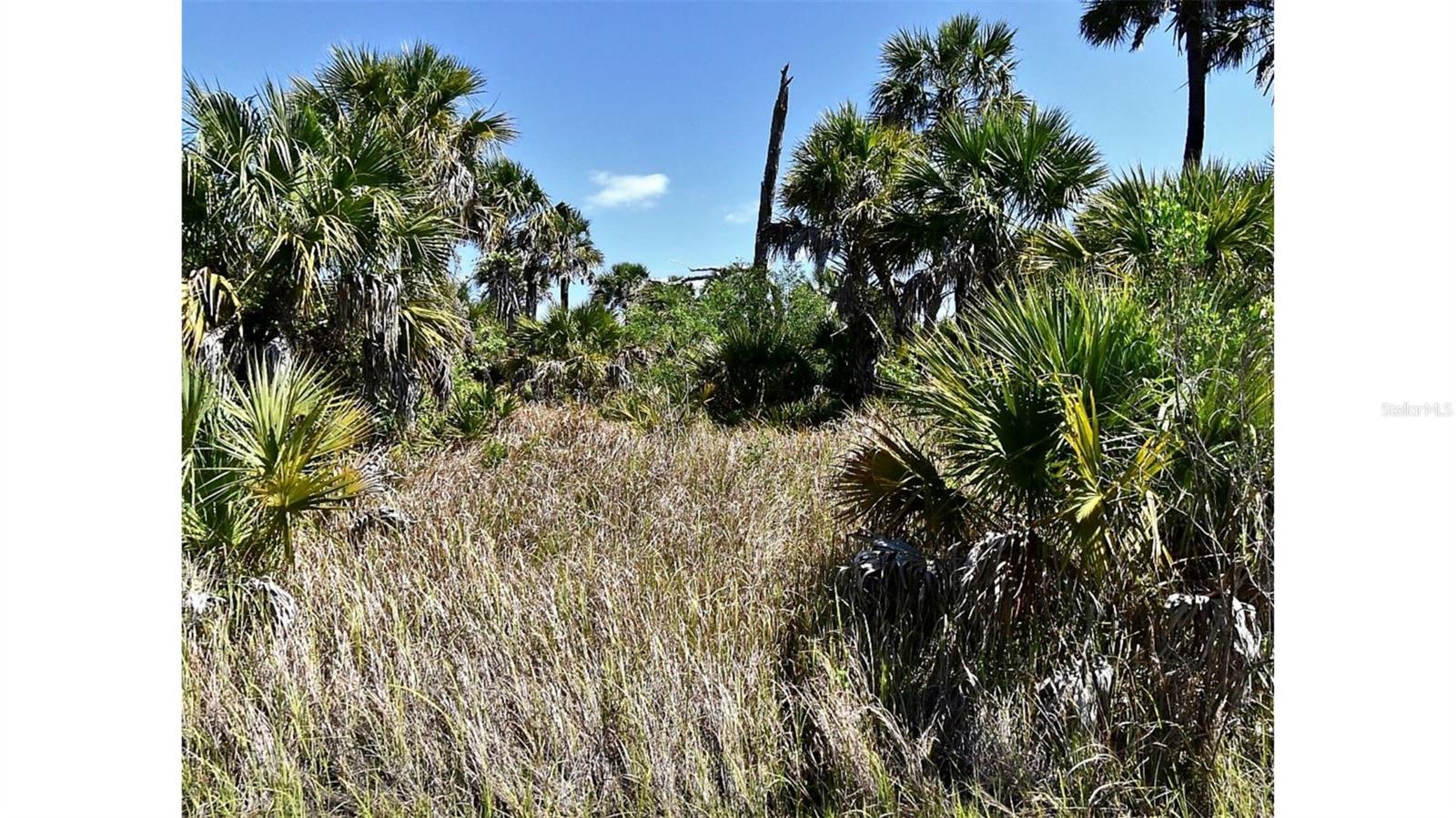 Crimsonglory Rd Property Photo 4