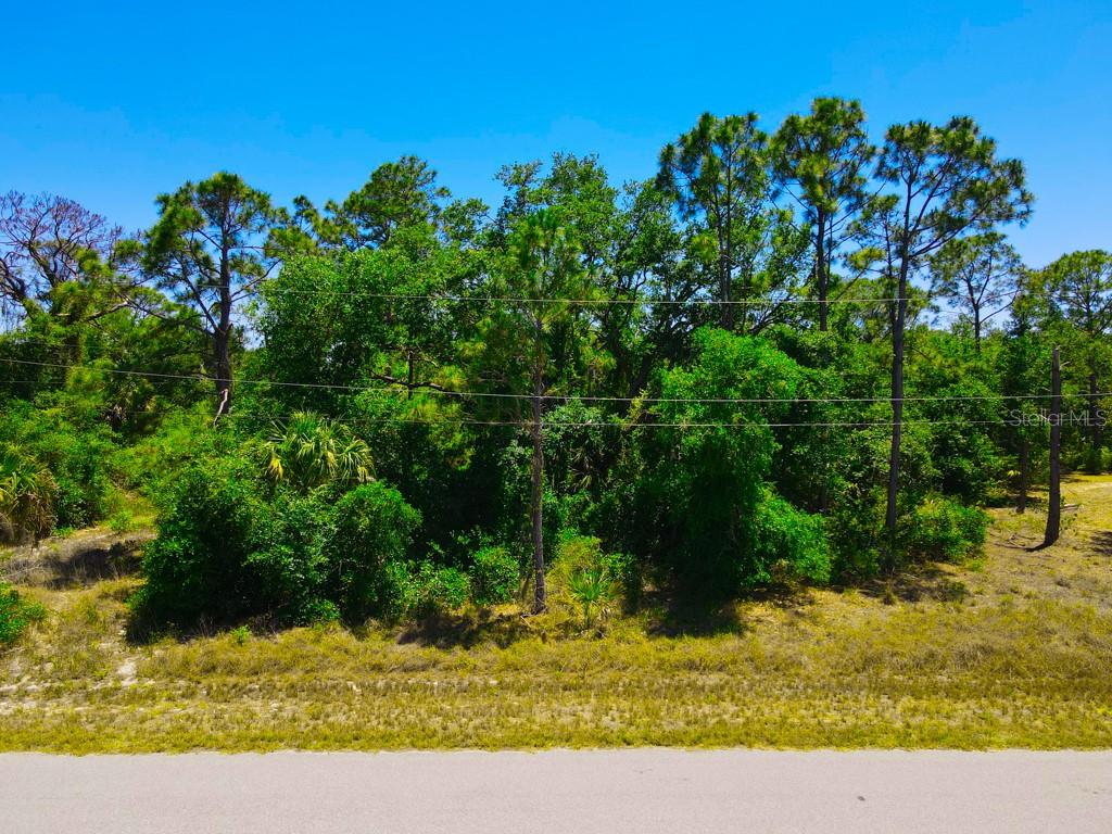 15531 Factory Ave Property Photo 11