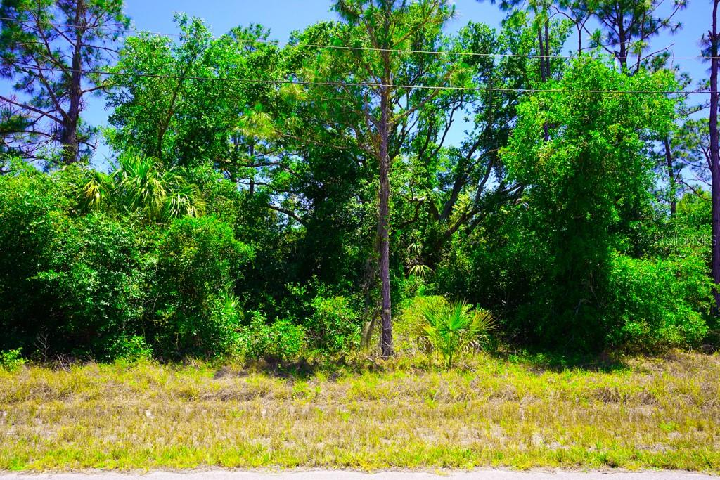 15531 Factory Ave Property Photo 14