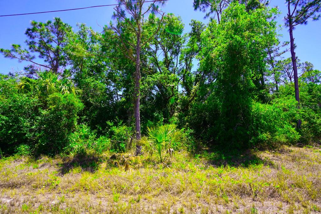 15531 Factory Ave Property Photo 17