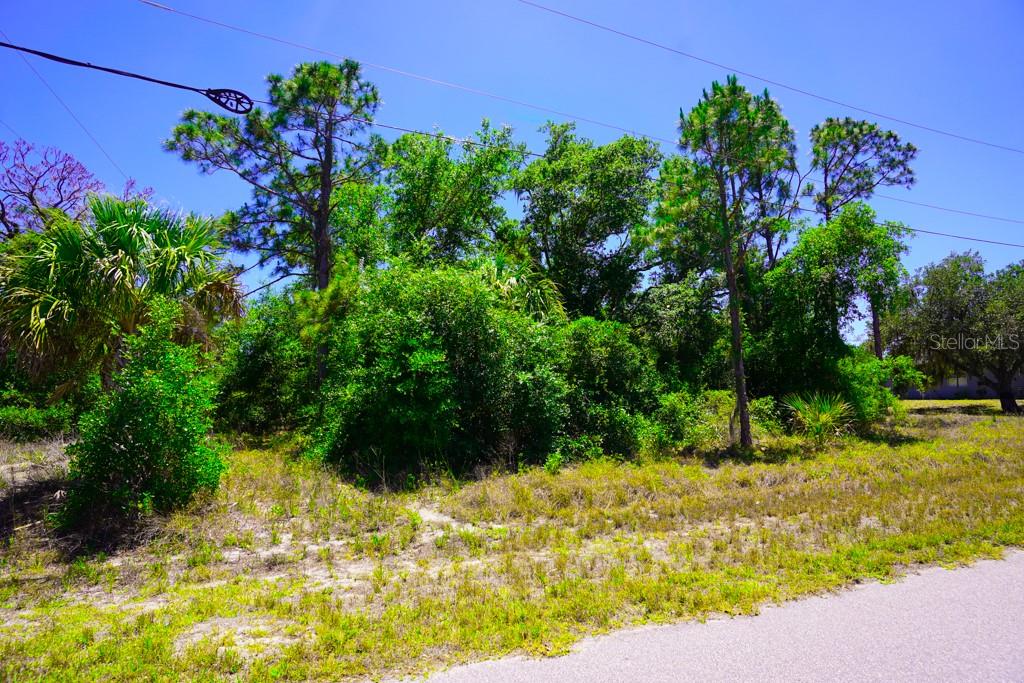 15531 Factory Ave Property Photo 18