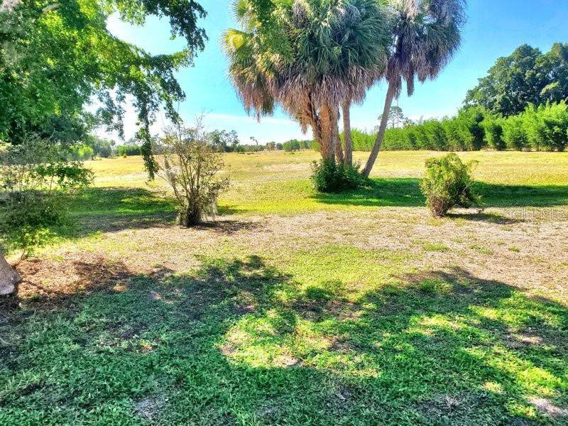 2451 Aquilos Ct Property Photo 3