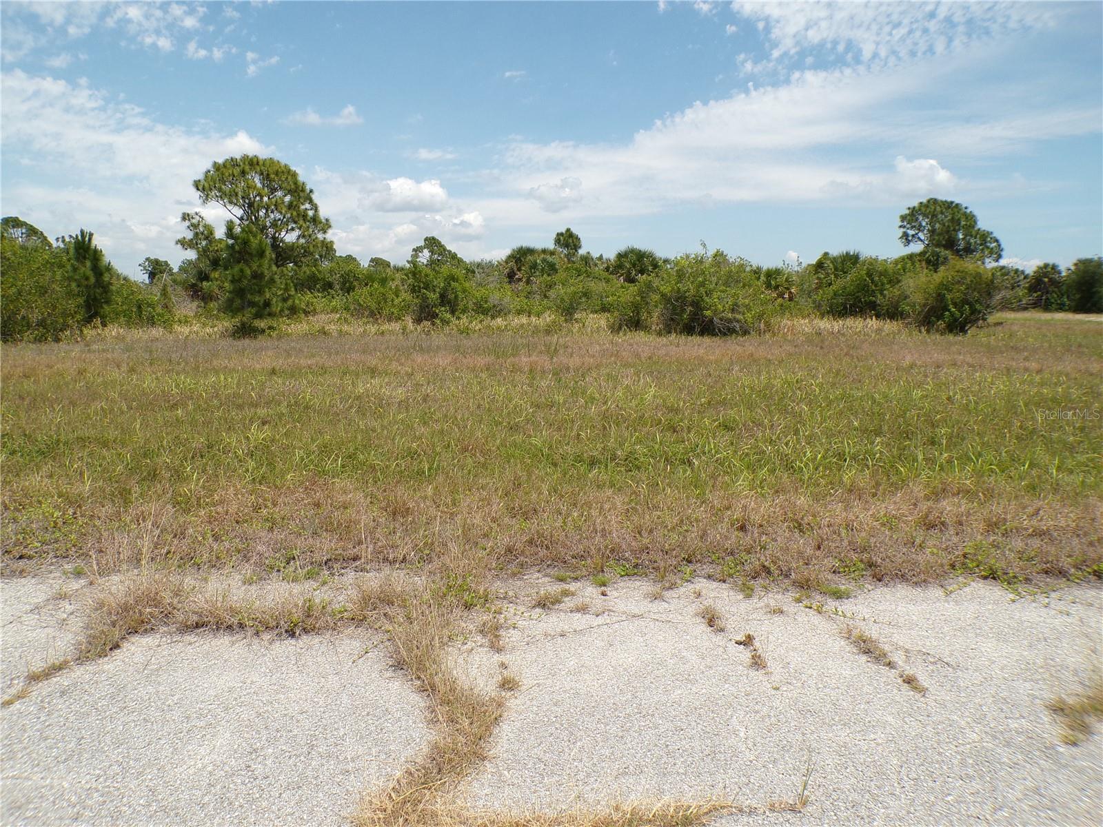 13222 PORGY WAY Property Photo 1