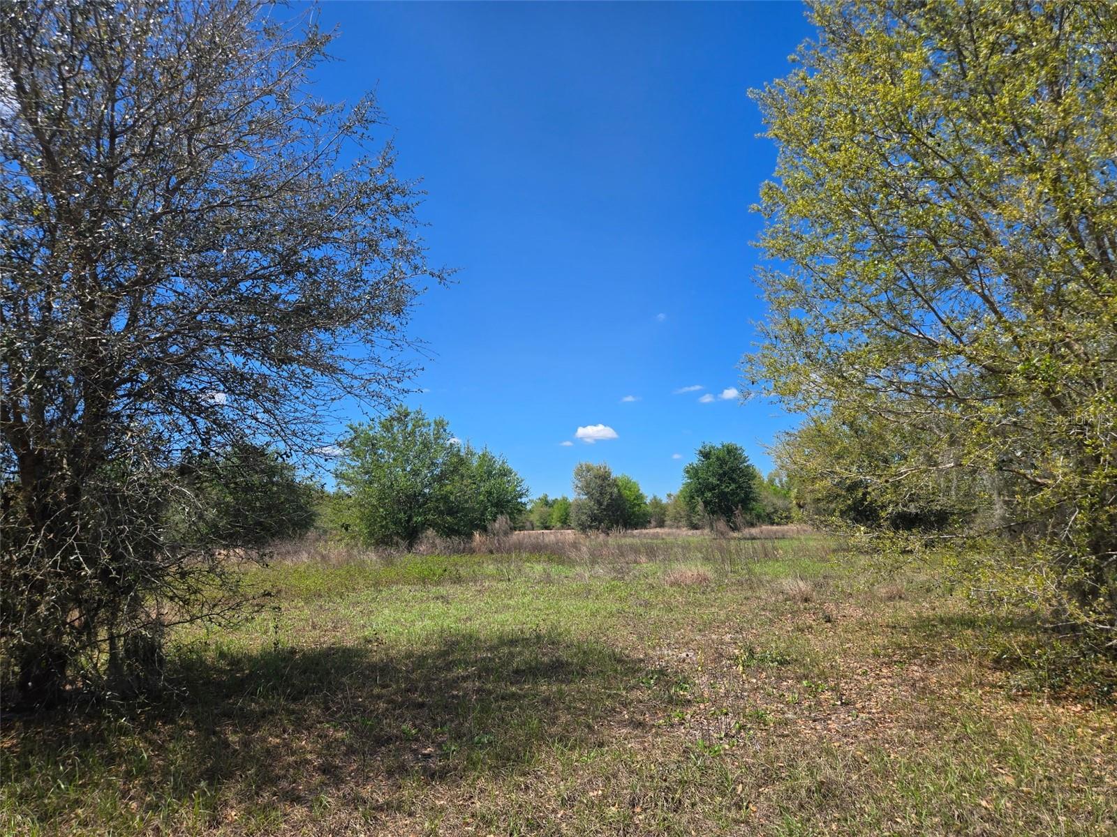 Nw 70 Hwy Nw Property Photo 10