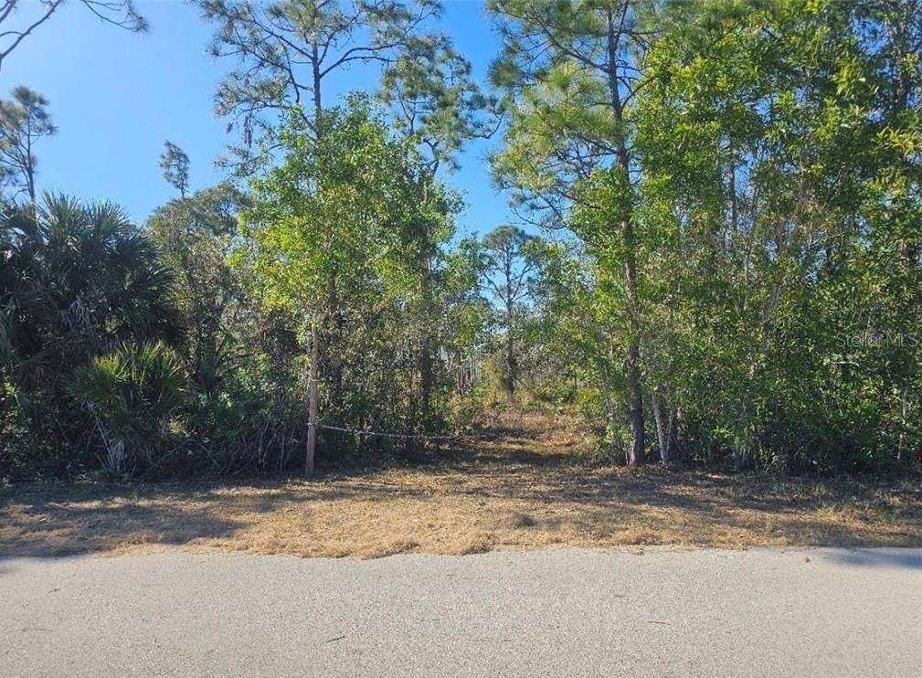4170 Old Burnt Store Rd Property Photo 12