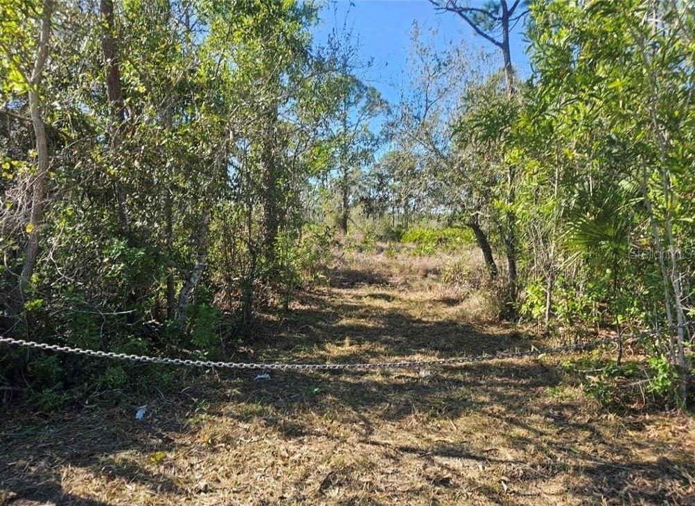 4170 Old Burnt Store Rd Property Photo 14