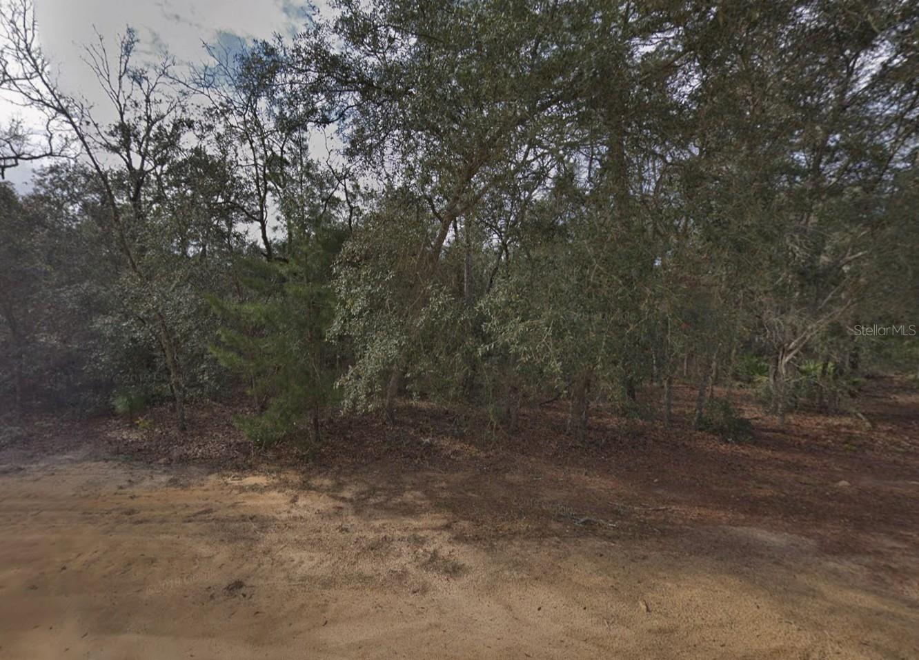917 DAVID AVE Property Photo 1