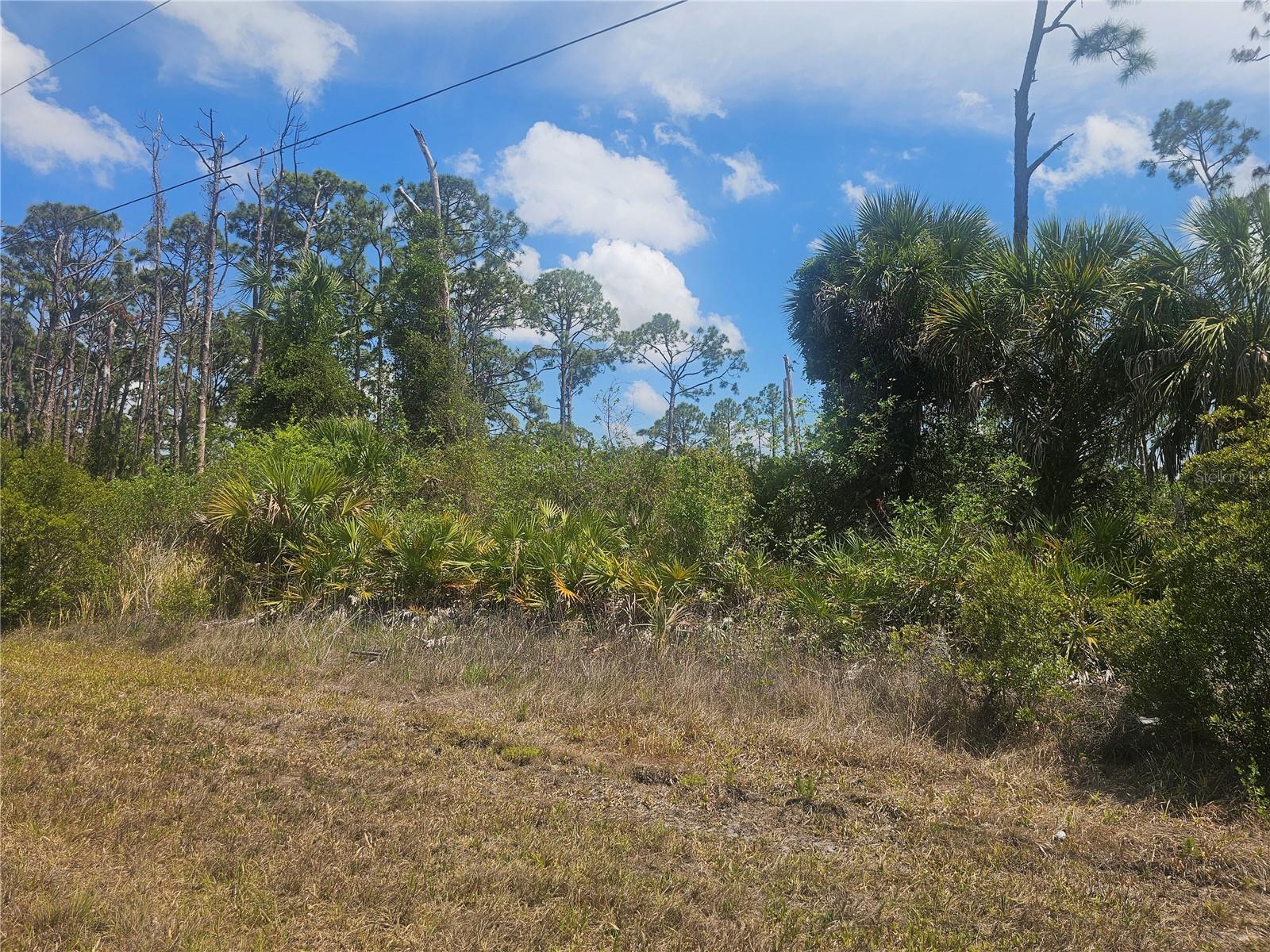 2649 JACOBS ST Property Photo 1