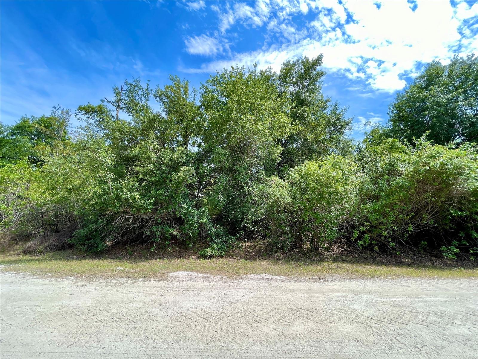 27209 Hacienda Dr Property Photo 2