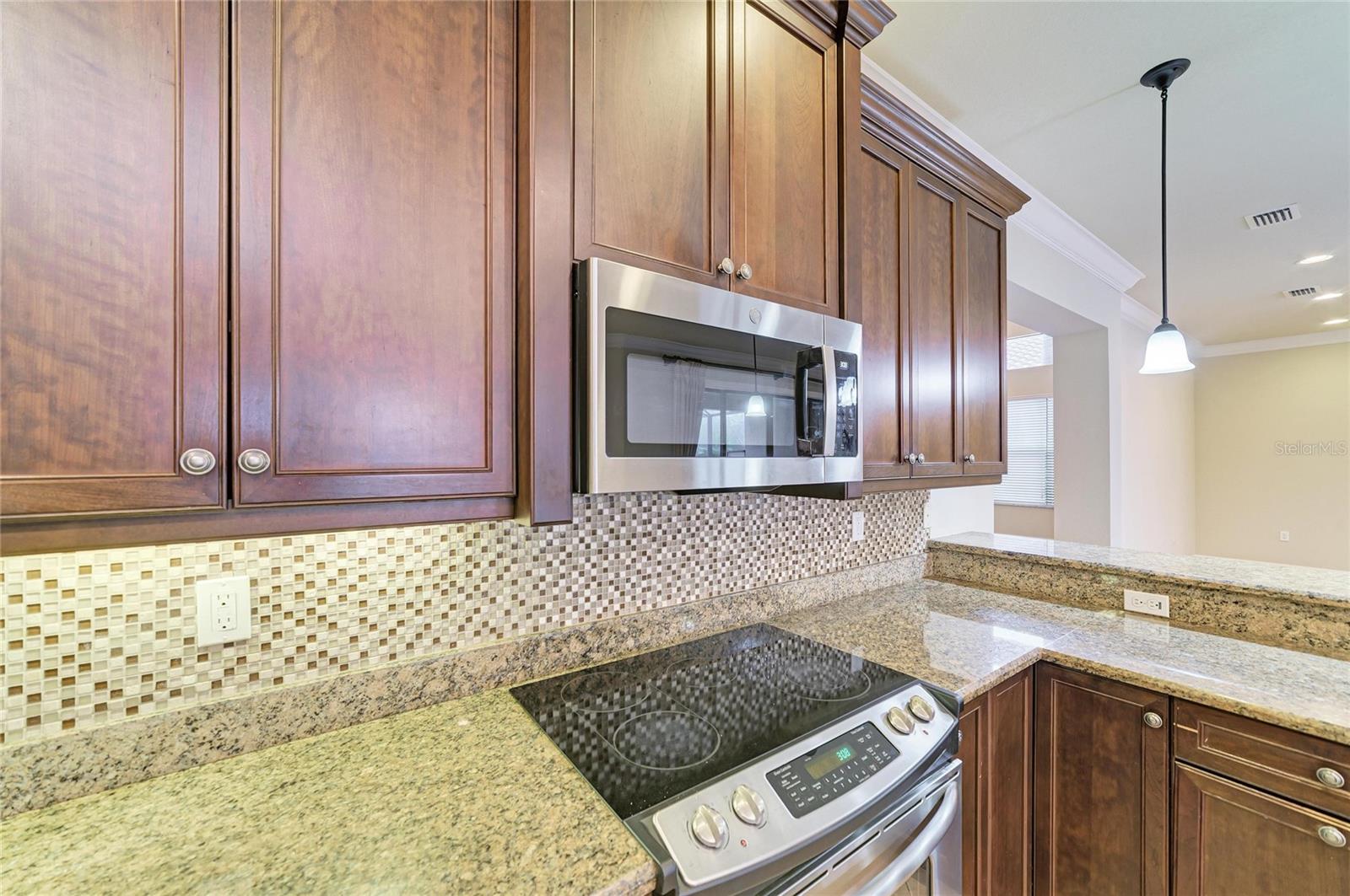 3701 Pleasant Springs Dr Property Photo 18