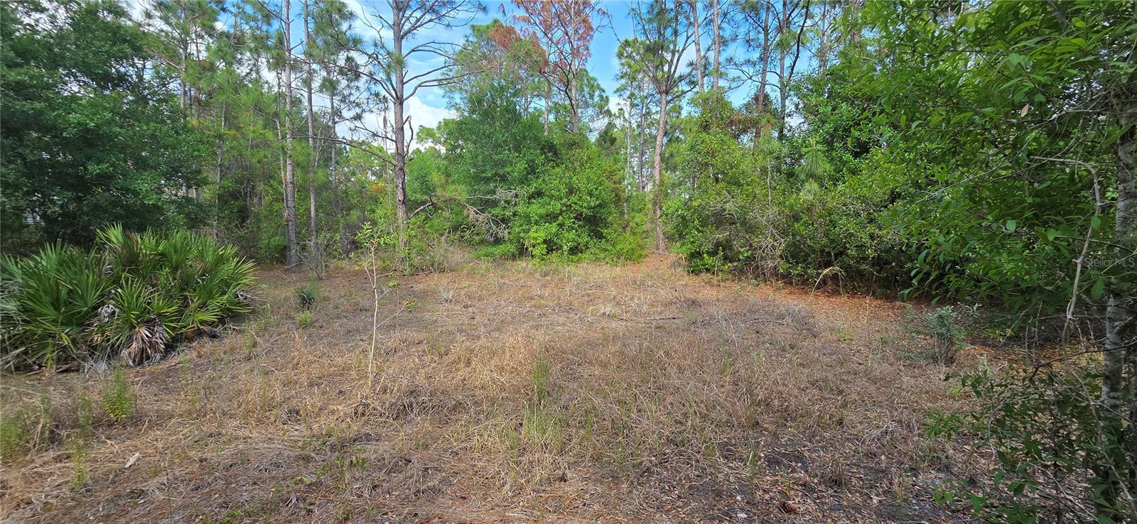 27402 Mandalay Dr Property Photo 2