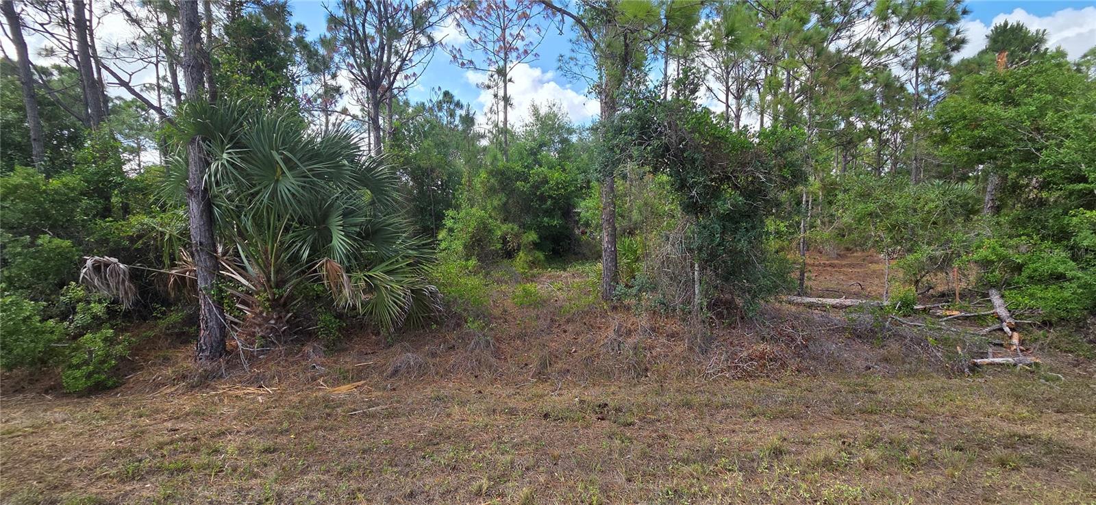27402 Mandalay Dr Property Photo 4