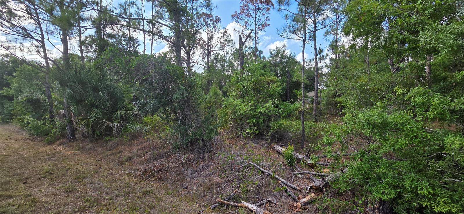 27402 Mandalay Dr Property Photo 6