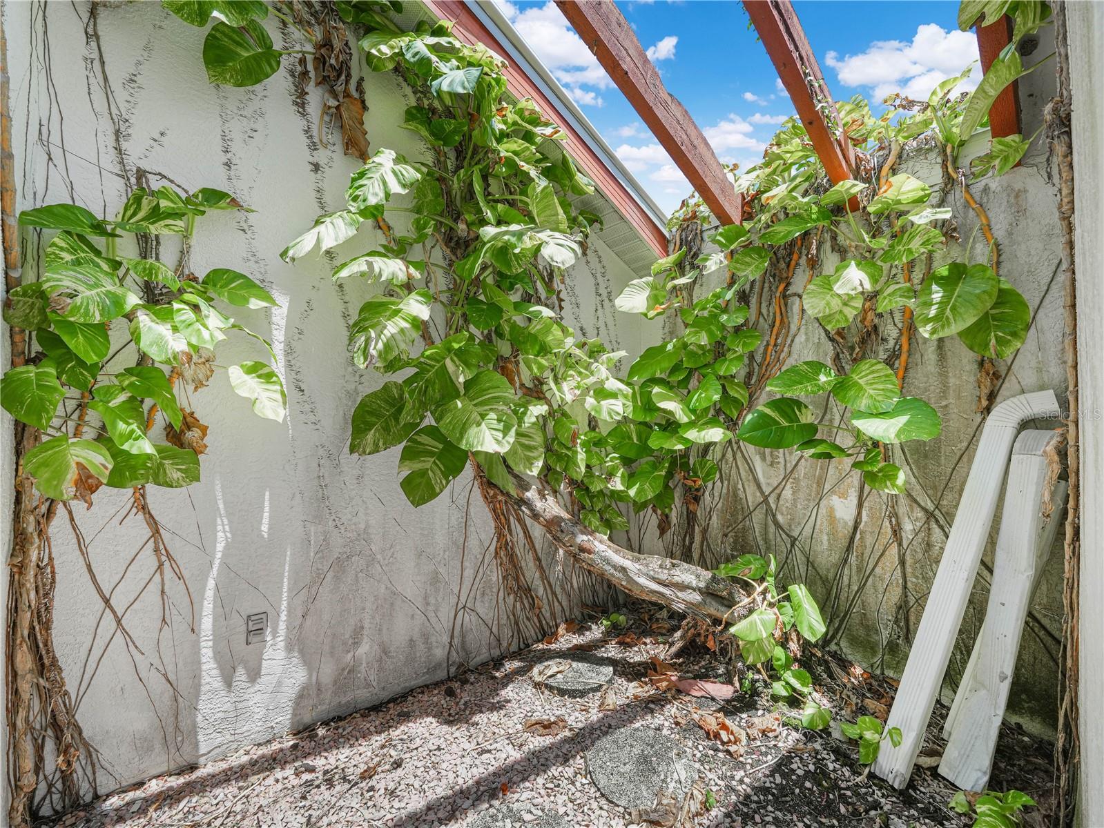 262 George Rd Se Property Photo 4