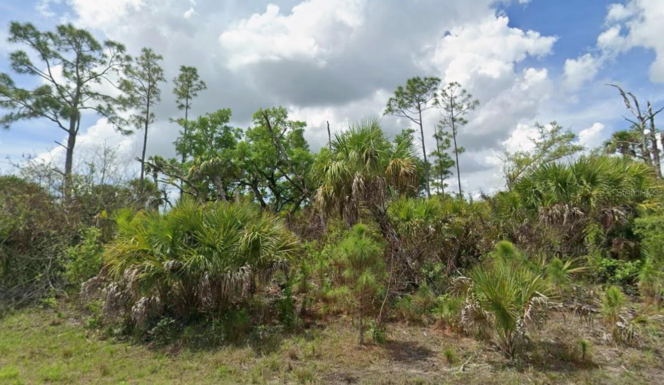 Lot 17 FIREBIRD RD Property Photo 1
