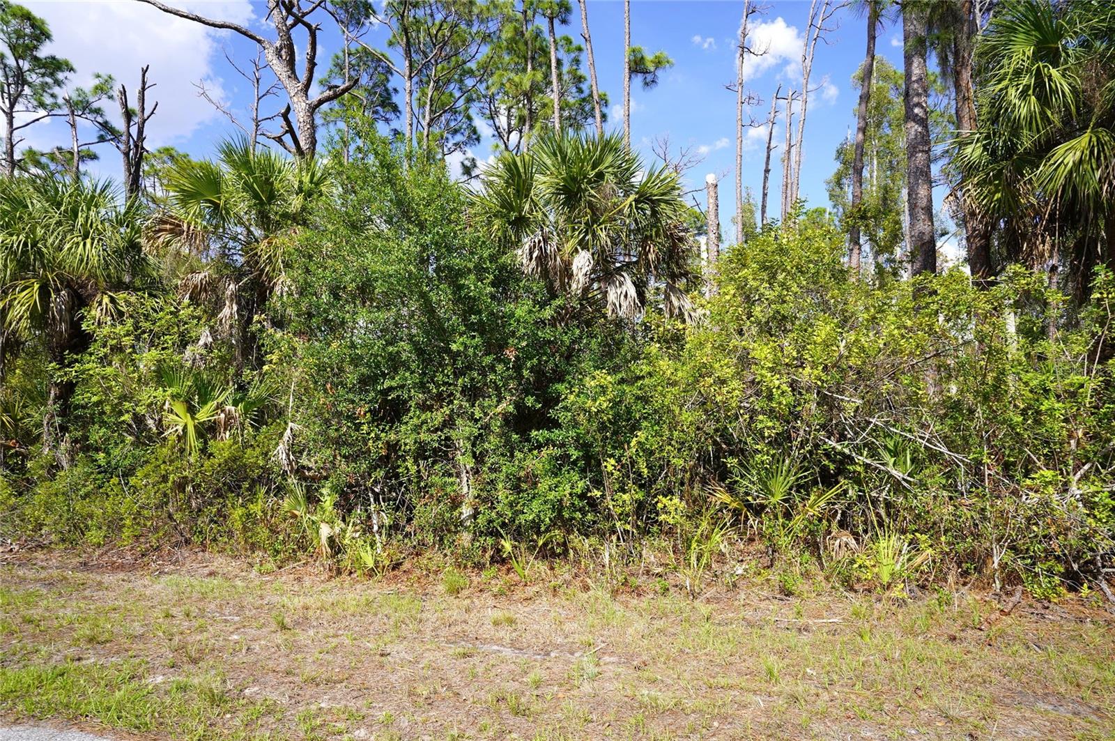 510 DAILEY ST Property Photo 1