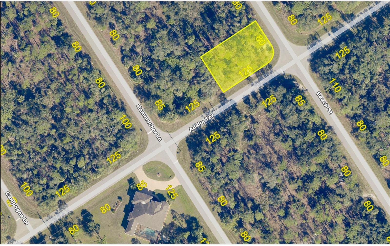 1177 Beach St Property Photo 3