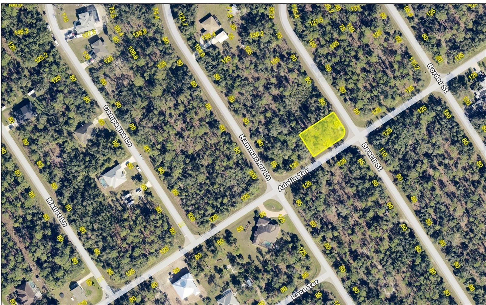1177 Beach St Property Photo 4