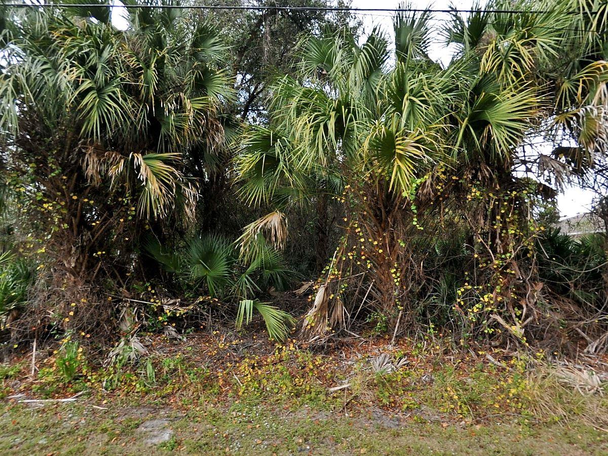 Julia Ter Property Photo 3
