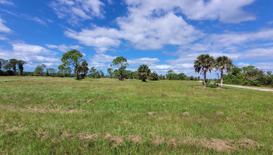 13111 Blue Marlin Rd Property Photo 5