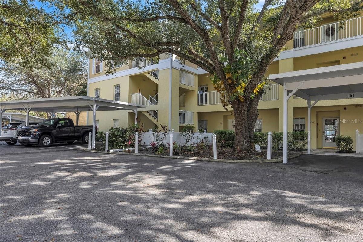 19335 WATER OAK DR #301 Property Photo 1