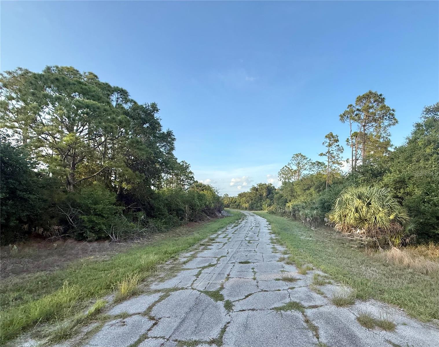 Lot 24 Hinshaw Ave Property Photo 2