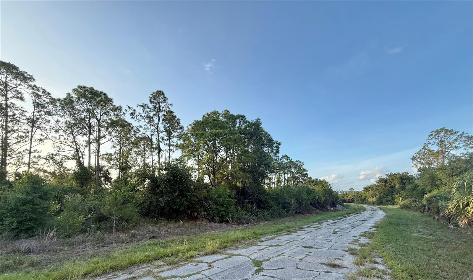 Lot 24 Hinshaw Ave Property Photo 3