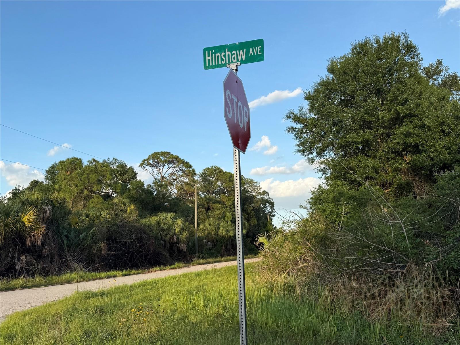 Lot 24 Hinshaw Ave Property Photo 4