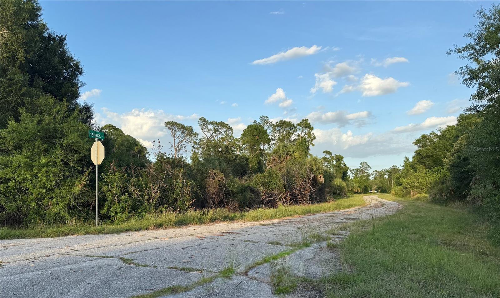 Lot 24 Hinshaw Ave Property Photo 5