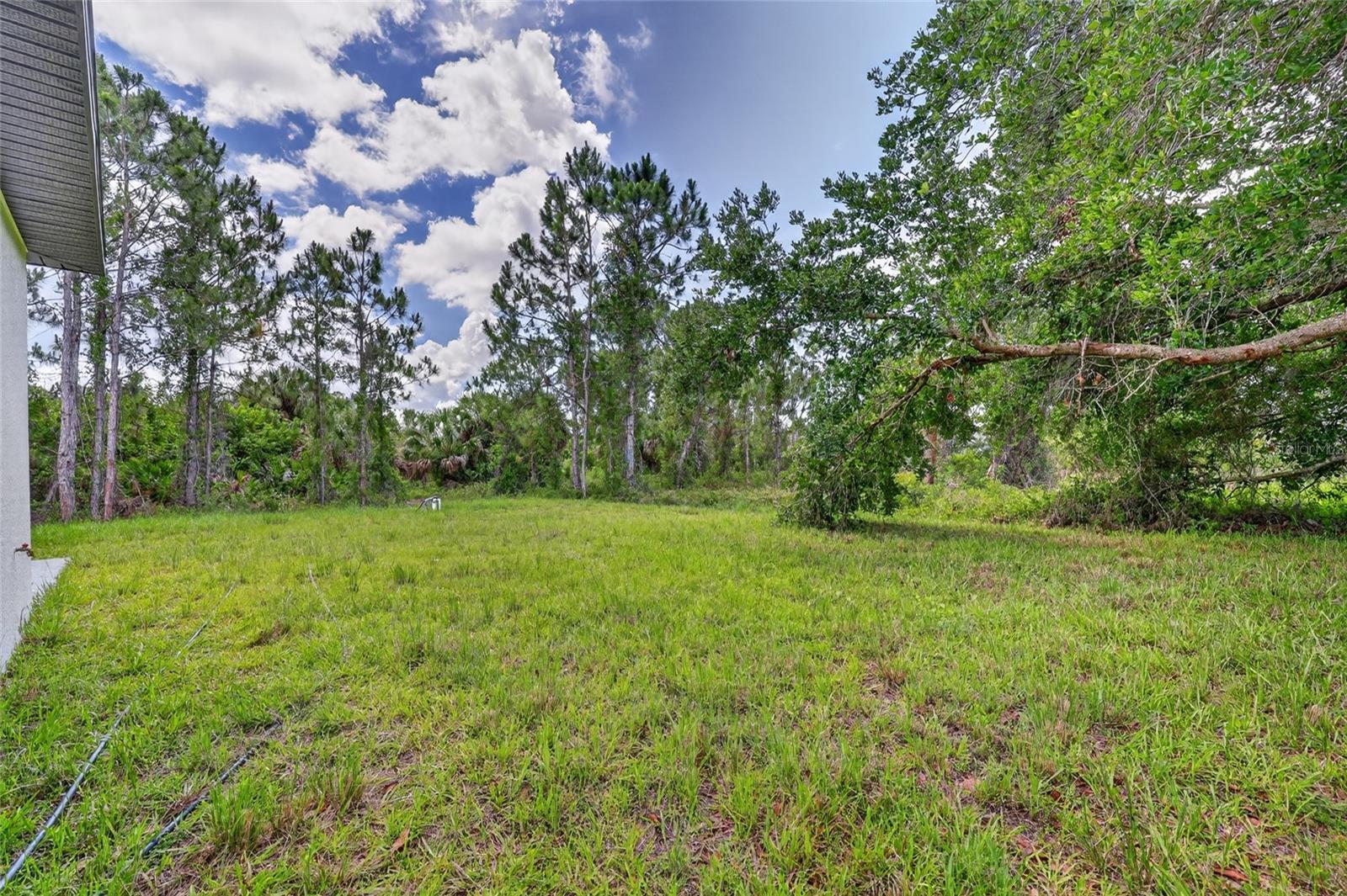 7841 Sontag Ave Property Photo 41