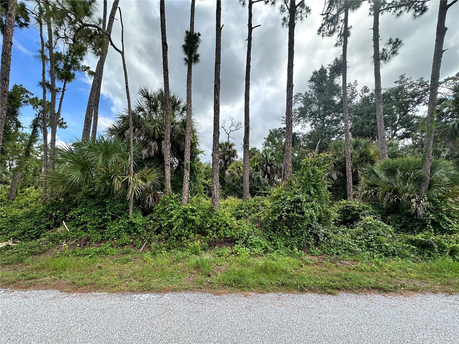 RUFUS RD Property Photo 1