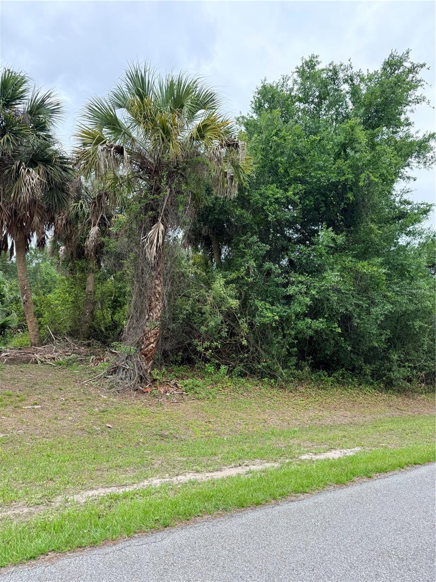 12192 CHAMBERLAIN BLVD Property Photo 1